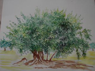 L'artiste charles  - olivier djerba