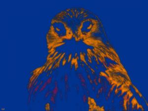 Artiste S comme Souris