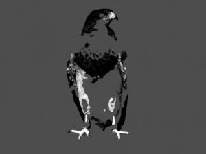 Art_numerique de S comme Souris: Oiseau dépouillé