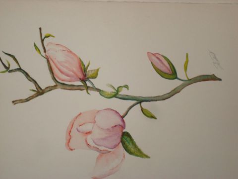 magnolia  - Peinture - pompier