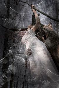 Artiste leGraphistographe