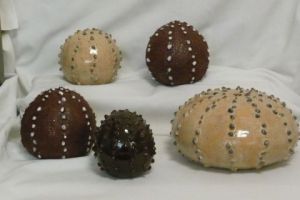 Voir cette oeuvre de Moixart May: Sea urchins