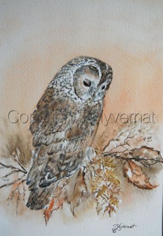 chouette hulotte - Peinture - Patricia GIROLDINI HYVERNAT chouette hulotte - Peinture - Patricia GIROLDINI HYVERNAT