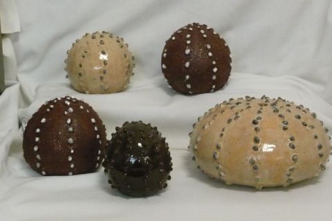 Sea urchins - Sculpture - Moixart May