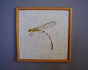Voir le détail de cette oeuvre: Dragonfly
