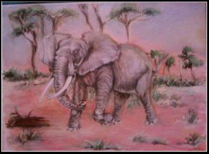 Voir cette oeuvre de marco: elephant afrique