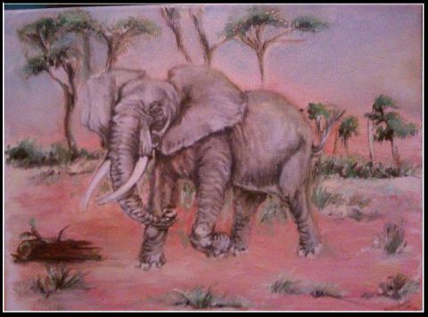 L'artiste marco - elephant afrique