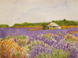 Peinture de Alain Van Hecke: Champ de Lavande et Fleurs (Provence)