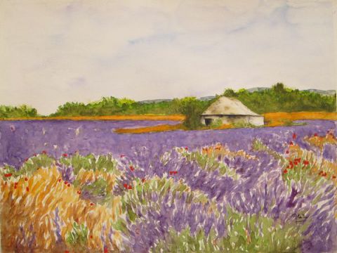 Champ de Lavande et Fleurs (Provence) - Peinture - Alain Van Hecke Champ de Lavande et Fleurs (Provence) - Peinture - Alain Van Hecke