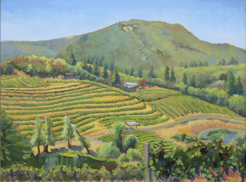 L'artiste Dominique  Amendola  - Vignes sur la colline