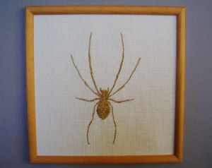 Voir le détail de cette oeuvre: Spider