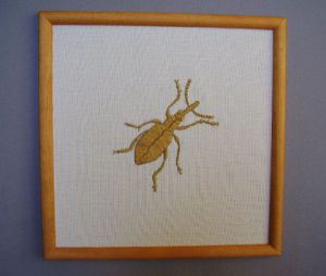 Voir le détail de cette oeuvre: Beetle 4