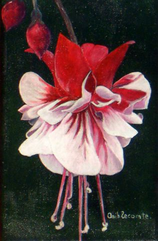 Juponnée de fuchsia blanc et rouge - Peinture - KAN