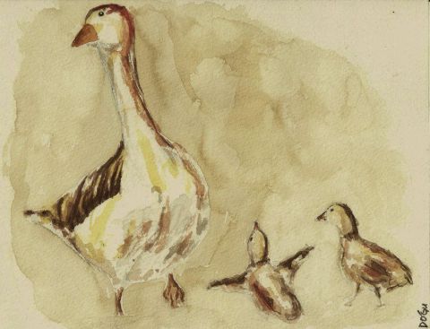 L'artiste dogu erker - L'oie et ses petits