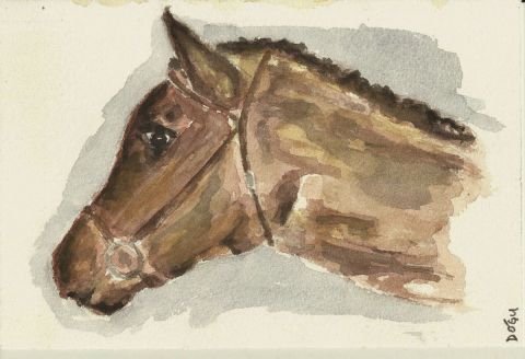 Mon cheval la perle noire - Peinture - dogu erker