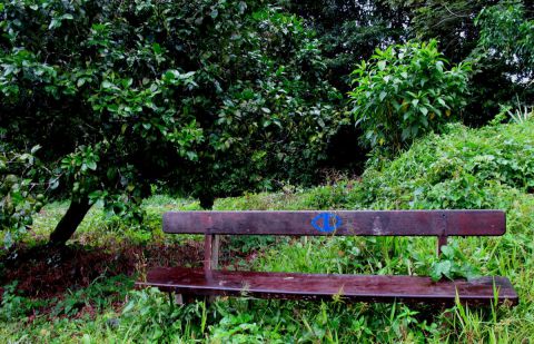 B's blue - Peinture - MARIE INDIGO B's blue - Peinture - MARIE INDIGO