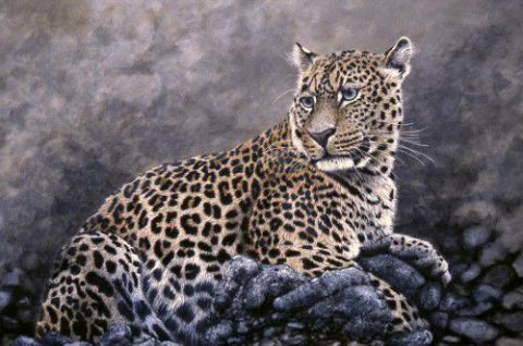 leopard couché ... - Peinture - georges rossi