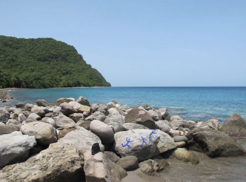 B's blue sur un rocher - Peinture - MARIE INDIGO B's blue sur un rocher - Peinture - MARIE INDIGO