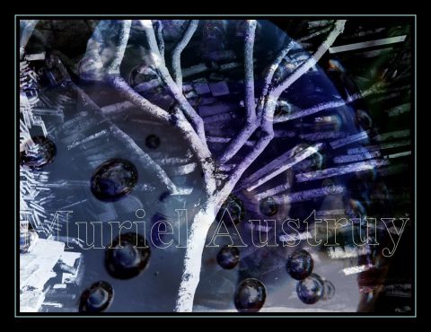 arbre à bulles - Photo - MURIEL AUSTRUY