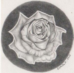 Voir cette oeuvre de EstelleD: Rose en noir et blanc