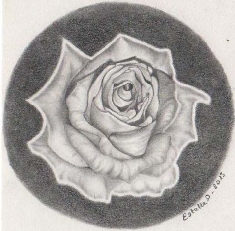 L'artiste EstelleD - Rose en noir et blanc