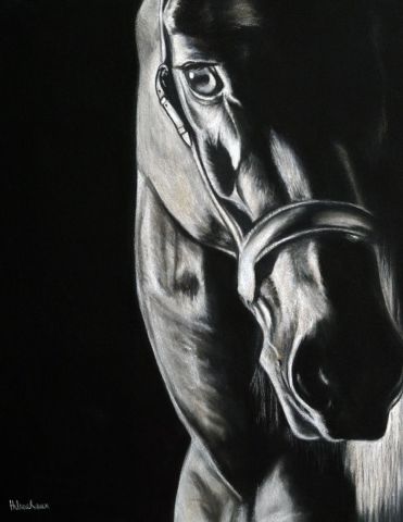 Entre ombre et lumière - Dessin - Helene Roux Entre ombre et lumière - Dessin - Helene Roux