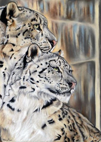L'artiste Helene Roux - Panthères des neiges (Jampal et Tien Shen) L'artiste Helene Roux - Panthères des neiges (Jampal et Tien Shen)