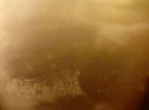 Artiste Sebastien Braillon