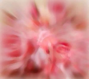 Voir cette oeuvre de Tami Samkharadze: Menuett flowers