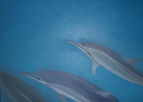 Les dauphins - Peinture - lisky