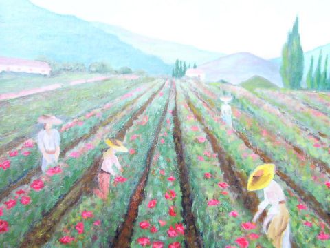 cueillette des roses en provence - Peinture - saintraphael