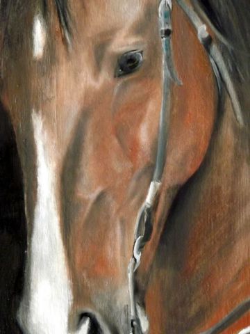 quater horse - Peinture - Renaud H