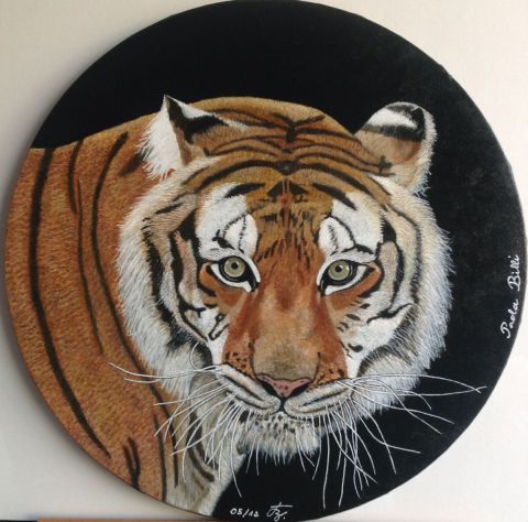 Tigre - Peinture - Paola Billi