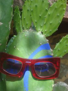 Peinture de MARIE INDIGO: Cactus avec lunette