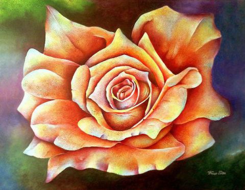 Rose d'Antibes - Peinture - Francis Cortes