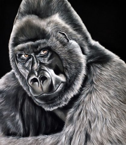 Gorille des montagnes - Dessin - Helene Roux