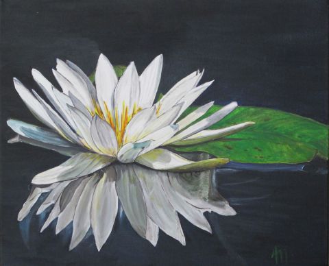 L'artiste annie massollo - Sur l'étang, un Nymphéa blanc