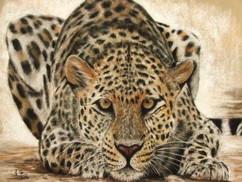 léopard - Dessin - Valerie GRISOTTO