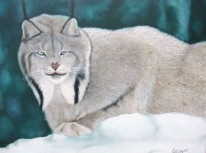 Peinture de Jean Yves Crispo: Lynx du Canada