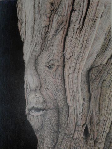 TRISTESSE D'UN BOIS MORT - Dessin - YVES INGELS TRISTESSE D'UN BOIS MORT - Dessin - YVES INGELS