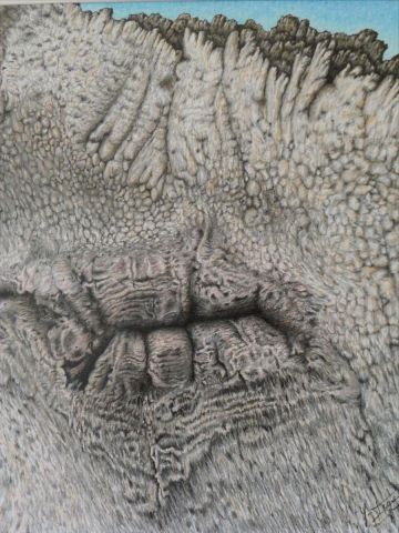 COQUINERIES DE DAME NATURE 1 - Dessin - YVES INGELS COQUINERIES DE DAME NATURE 1 - Dessin - YVES INGELS