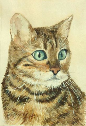 L'artiste marc pfund - chat