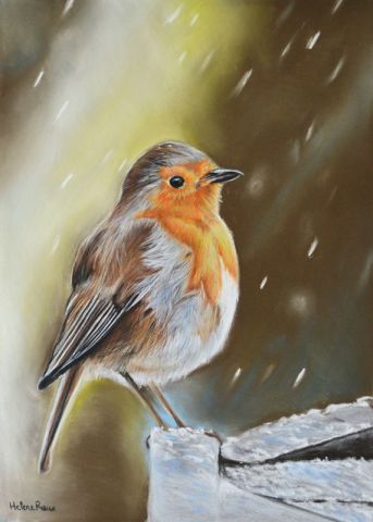 Rouge gorge sous la neige - Dessin - Helene Roux Rouge gorge sous la neige - Dessin - Helene Roux