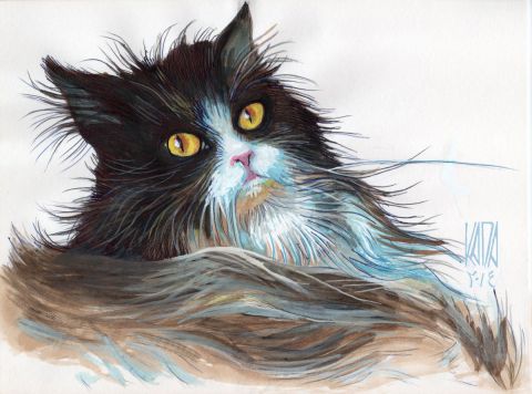 Cat 1 - Peinture - Mohamed Kada