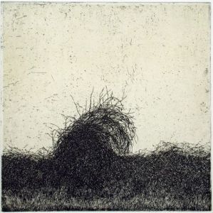 Artiste Tomáš   Žemla