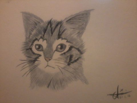 Le chaton - Peinture - Bru Nette