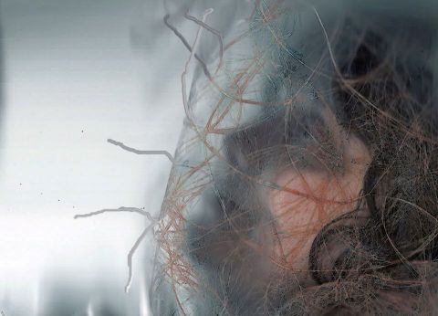 de tous les chemins - Photo - domroca de tous les chemins - Photo - domroca