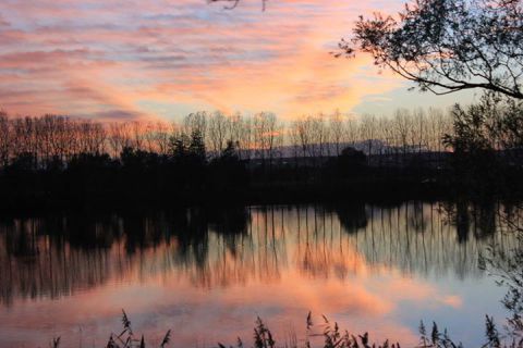 L'artiste domi roca - Le coin des pêcheurs L'artiste domi roca - Le coin des pêcheurs