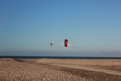 L'artiste domi roca - de grands oiseaux L'artiste domi roca - de grands oiseaux