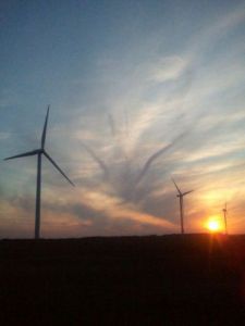 Photo de domroca: éoliennes